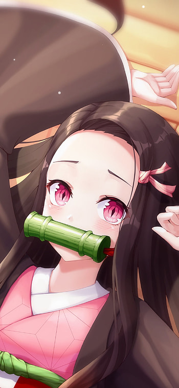 Demon Slayer Nezuko Anime Delight, Anime, Demon Slayer: Kimetsu no Yaiba HD phone wallpaper