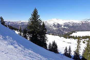 Winter, Nature, Trees, Mountains, Snow, Fir-Trees HD wallpaper
