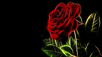Fractal rose, rose, art, flower, red, fractal HD wallpaper