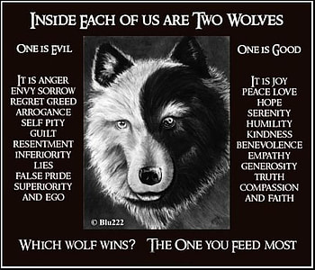 The Good and the Evil, black, wolves, dogs, evil, wolf, native, with, animals, good HD wallpaper