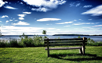 Nature, Grass, Lake, Shadow, Bench HD wallpaper
