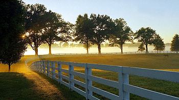Paddock, Farms HD wallpaper
