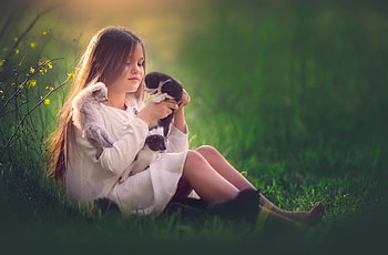 little girl, childhood, blonde, fair, nice, adorable, bonny, sunset, sweet, Belle, white, Hair, girl, cat, tree, comely, sightly, pretty, green, face, lovely, pure, child, graphy, cute, baby, , set, Nexus, beauty, play, kid, feet, beautiful, people, little, pink, love, princess, dainty HD wallpaper