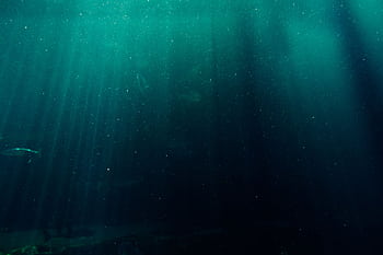 Explore the captivating underwater scene with mesmerizing sunlight rays penetrating the deep sea. HD wallpaper