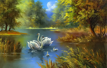 Swan Lake, Riverbank, Autumn, Pretty, Shore HD wallpaper