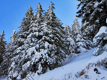 Nature, Snow, Slope, Ate HD wallpaper