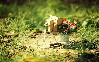 Danbo Best Pic, danbo, cute, garden HD wallpaper