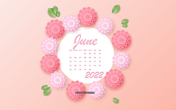 June 2022 Calendar, , pink flowers, June, 2022 summer calendars, 3d paper pink flowers, 2022 June Calendar HD wallpaper