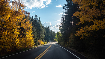 Forest Road Asphalt Landscape , forest, road, landscape, nature, trees HD wallpaper