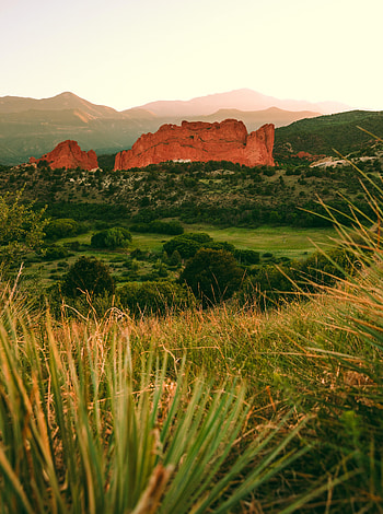 Nature, Grass, Sky, Bush, Rocks, Field HD phone wallpaper