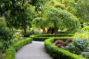 Landscape, Nature, Bush, New Zealand, Park, Design, Christchurch HD wallpaper