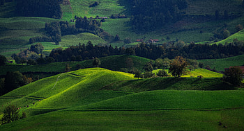 Nature, Fields, Switzerland, Valley, Hirzel HD wallpaper