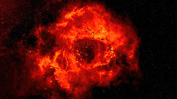 Rose Nebula , nebula, space, digital-universe, artist, artwork, digital-art HD wallpaper