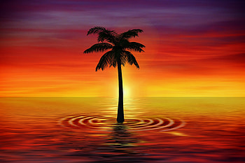 Art, Sea, Twilight, Vector, Palm, Dusk HD wallpaper