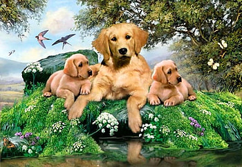 By Howard Robinson, sweet, animal, painting, art, howard robinson, nature HD wallpaper