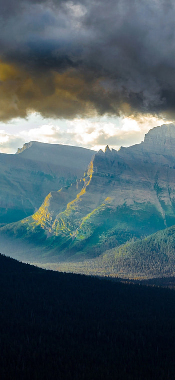 Logan Pass , Glacier National Park Montana, Early morning nature HD phone wallpaper