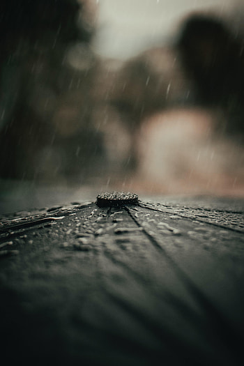 Rain, Drops, Macro, Umbrella HD phone wallpaper