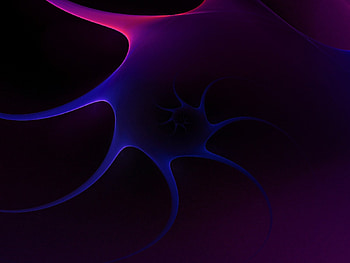 organic, colorful, black, color HD wallpaper
