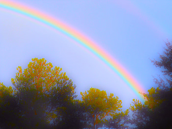 rainbow outside house, trees, sky, nature, rainbow HD wallpaper