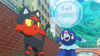 Litten, Pokemon anime, Initial starters, Popplio HD wallpaper