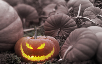 Light Halloween Pumpkin Backgrounds. HD wallpaper
