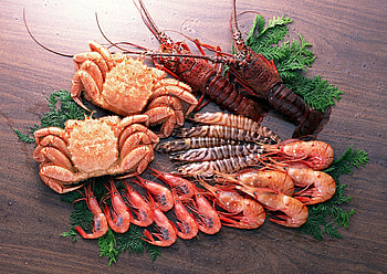 Top seafood backgrounds, Seafood delicacies, Delicious seafood, Seafood feast HD wallpaper