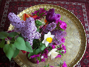 Spring is served, purple, white, gold plate, green leaves, yellow, colors, flowers, spring HD wallpaper