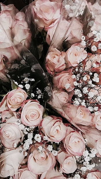 Preety Aesthetic, Preety, Aesthetic HD phone wallpaper