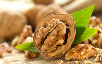 Walnuts, High-definition ry, Walnut backgrounds, Visual appeal HD wallpaper