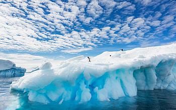 Antarctica, berg, water, ice HD wallpaper