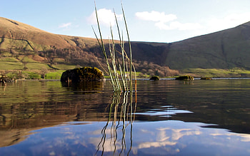 Landscape, Rivers HD wallpaper