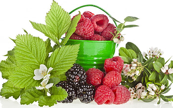 *** Berries ***, owoce, jedzenie, jagodowe, wiaderko HD wallpaper