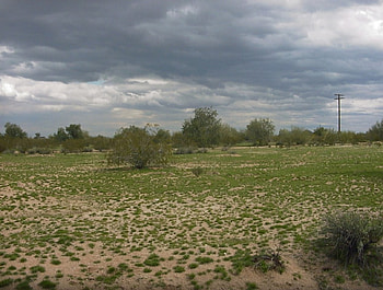 The green after the storm, Maricopa, Arizona, Desert, Storm HD wallpaper