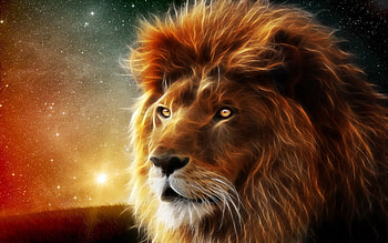Abstract, Muzzle, Lion, Mane, King Of Beasts, King Of The Beasts HD wallpaper