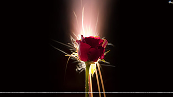 sparkling beauty, s, a, d, f HD wallpaper