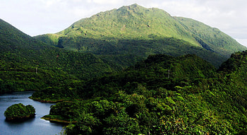Green Glass in Dominica, Chocolate Paradise, Tropical Getaway, Cultural Immersion HD wallpaper