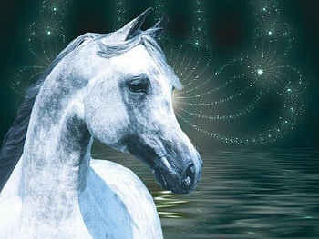 White Fire Works, fireworks, horses, arabians, sky, nature, ponies HD wallpaper