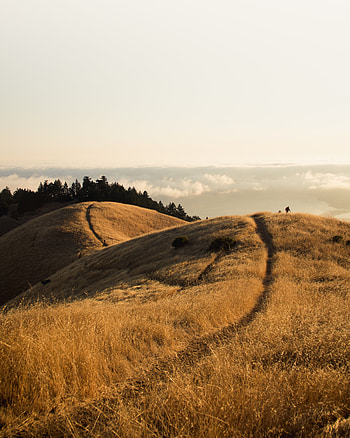 Landscape, Nature, Mountains, Path, Hills, Height, Trail HD phone wallpaper