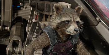 Rocket Raccoon, comics, HQ HD wallpaper