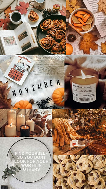 November, orange, tableware HD phone wallpaper