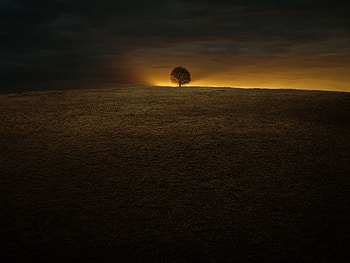 todo es ahora, , sunset HD wallpaper