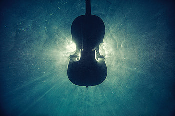 Guitar, underwater, music instrument HD wallpaper