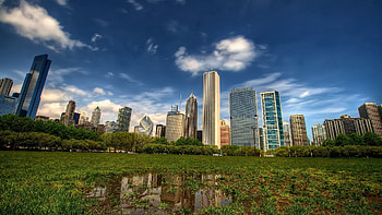 Cities, Grass, Skyscrapers, r, New York, Central Park, Manhattan HD wallpaper