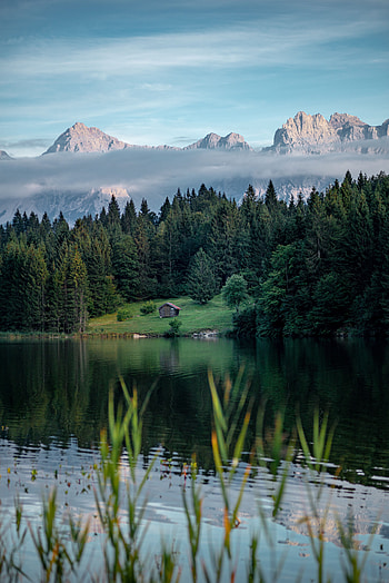 Nature, Mountains, Lake, Forest, Small House, Lodge, Lawn HD phone wallpaper