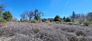 Hiking in Greater San Diego County – Landscape graphy, Southern California, California, landscape, hiking, graphy, nature HD wallpaper