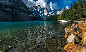 Mountain, leaf, nature, rock, tree HD wallpaper