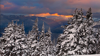 Landscape, Winter HD wallpaper
