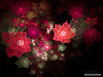 orange flowers, abstract, mind teasers HD wallpaper
