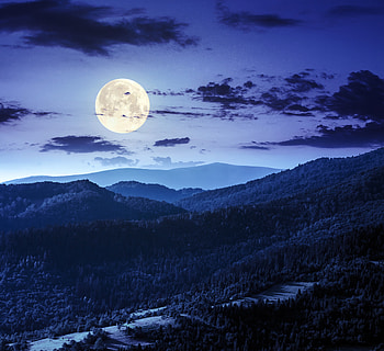 Forest Night Moon Clouds , moon, night, clouds, nature, morning HD wallpaper