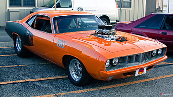 cuda, , windows HD wallpaper